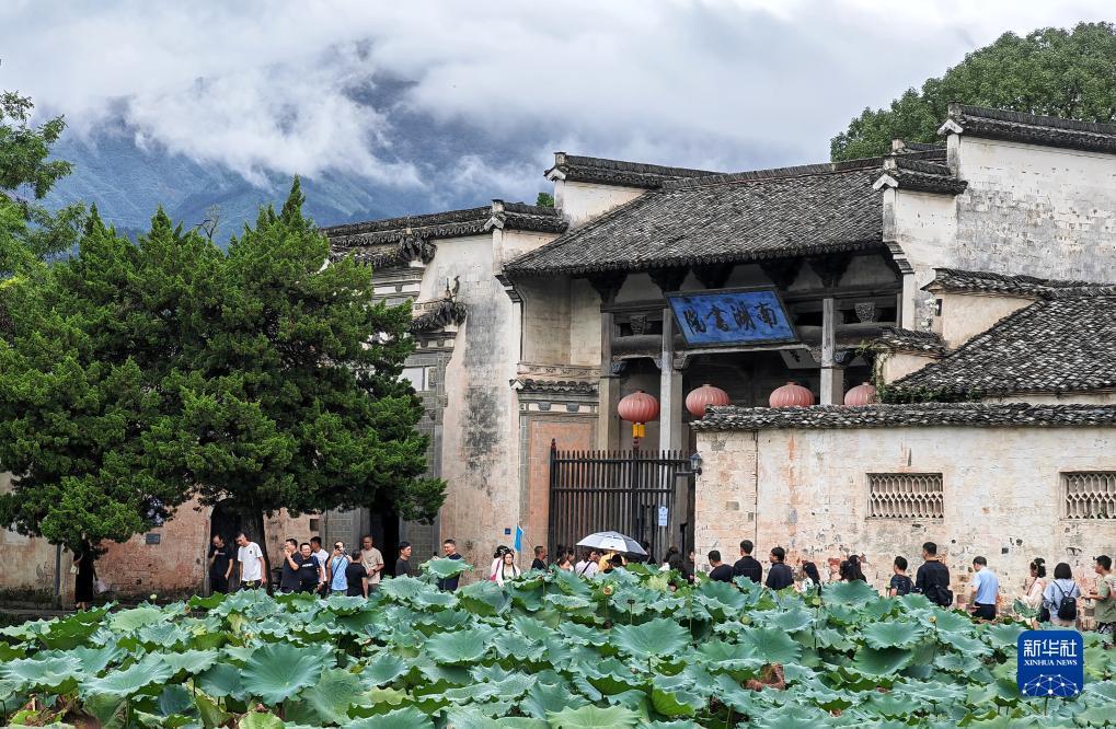 牛牛金花游戏下载